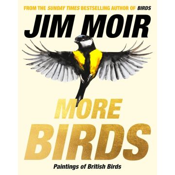 Jim Moir: More Birds