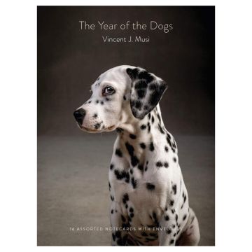 The Year of the Dogs NOtecards