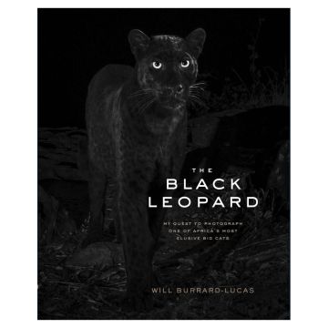 The Black Leopard