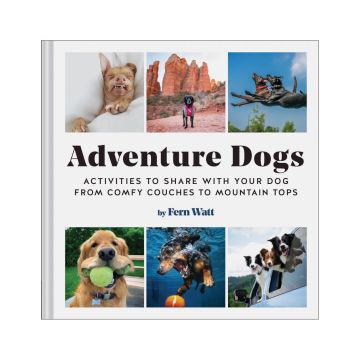 Adventure Dogs