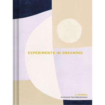 Experiments in Dreaming