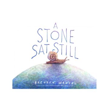 A Stone Sat Still (international pb)