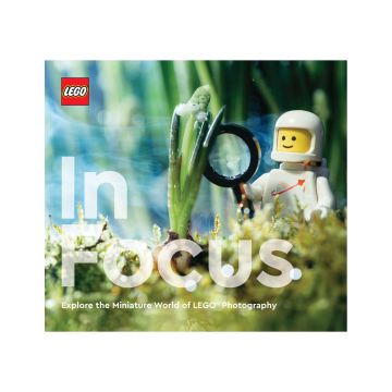 LEGO in Focus