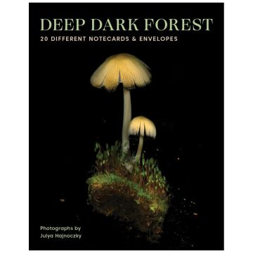 Deep Dark Forest Notes