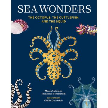 Sea Wonders