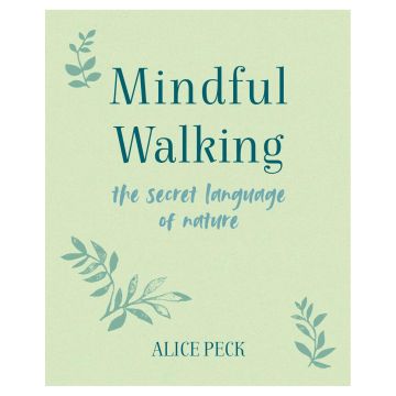 Mindful Walking