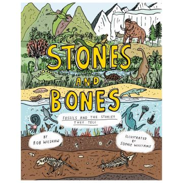 Stones and Bones