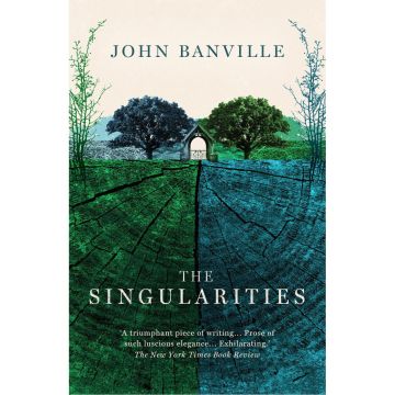 The Singularities