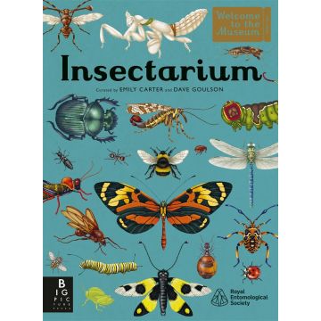 Welcome To The Museum: Insectarium