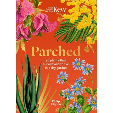 Kew - Parched