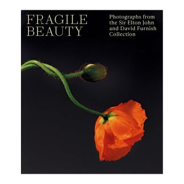 Fragile Beauty