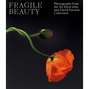 Fragile Beauty