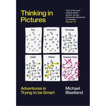 Thinking in Pictures: Adventures in Trying to be Smart