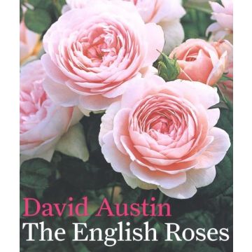 The English Roses