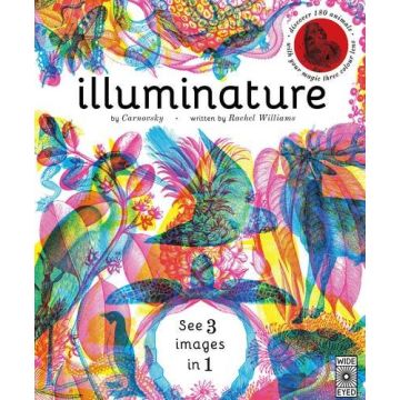 Illuminature