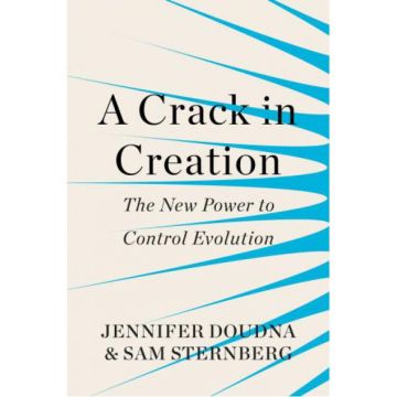 A Crack in Creation