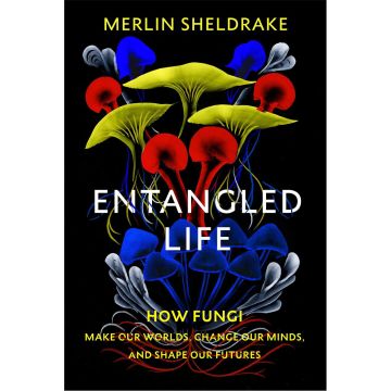 Entangled Life