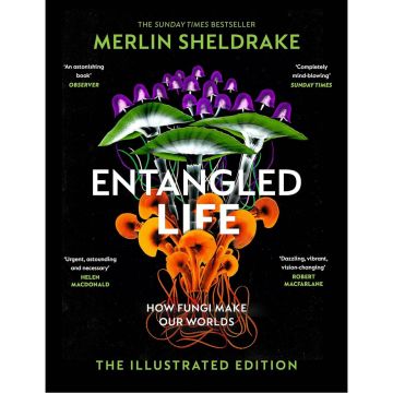 Entangled Life: How Fungi Make Our Worlds,