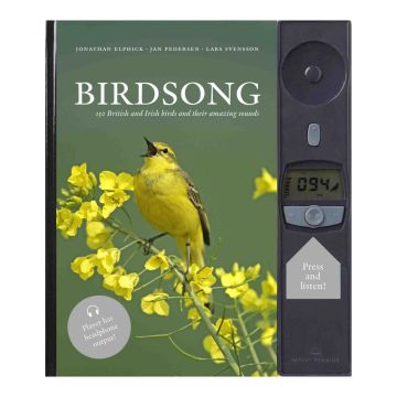 Birdsong