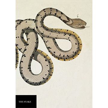 Snake Notebook