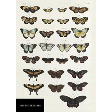 Butterfly Notebook