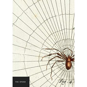 Spider Notebook