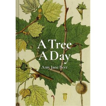 A Tree a Day