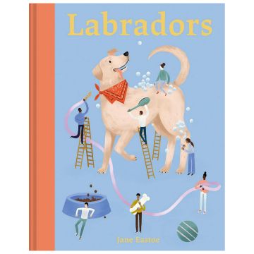 Labradors