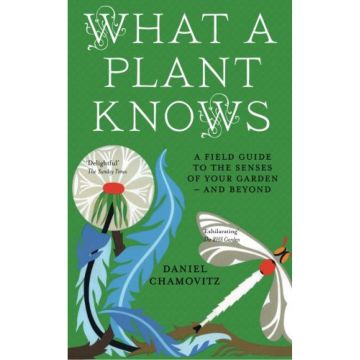 What a Plant Knows