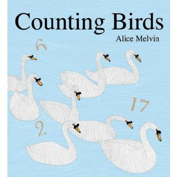 Counting Birds