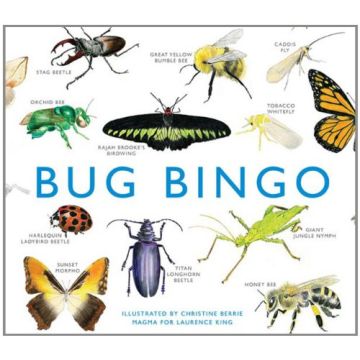 Bug Bingo