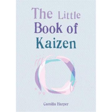 The Little Book of Kaizen