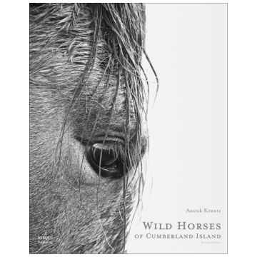 Wild Horses of Cumberland Island