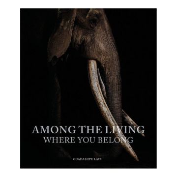 Among the Living: Where You Belong