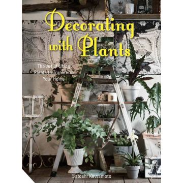 Decorating with Plants