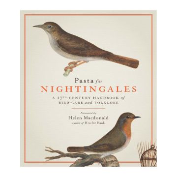 Pasta For Nightingales