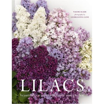 Lilacs