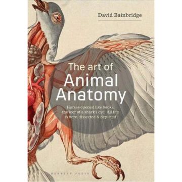 The Art of Animal Anatomy