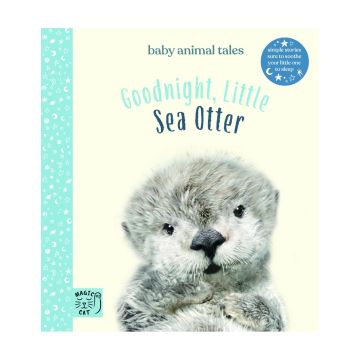 Goodnight, Little Sea Otter