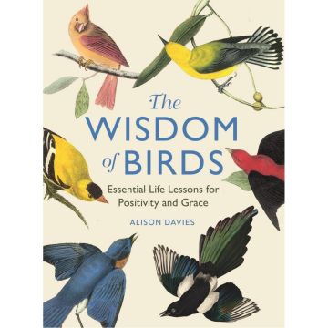 The Wisdom of Birds