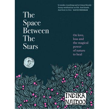 The Space Between the Stars