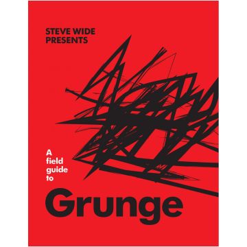 A Field Guide to Grunge