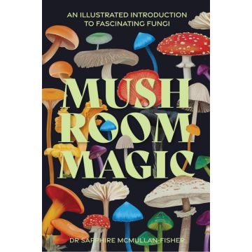 Mushroom Magic