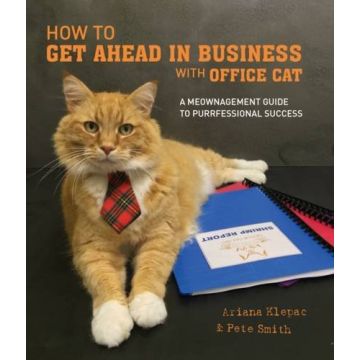 How to Get Ahead in Business with Office Cat