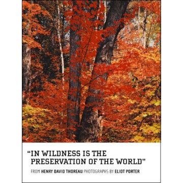 In Wilderness is the Preservation of the World