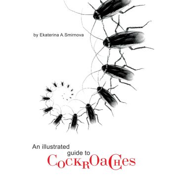 An Illustrated Guide to Cockroaches