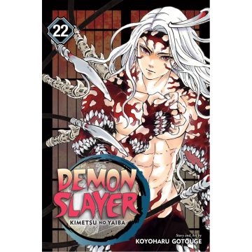 Demon Slayer: Kimetsu no Yaiba, Vol. 22