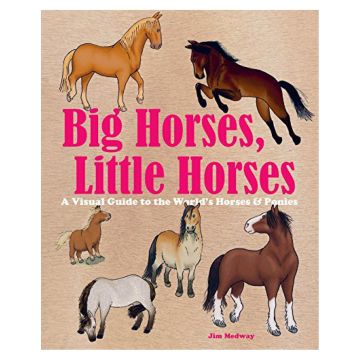 Big Horses, Little Horses