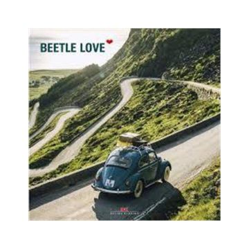 Beetle Love