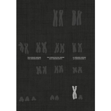 The Chromosome X and the Human Genome